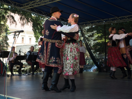 ŽIŽKOVY SADY ŽIŽKOVY SADY