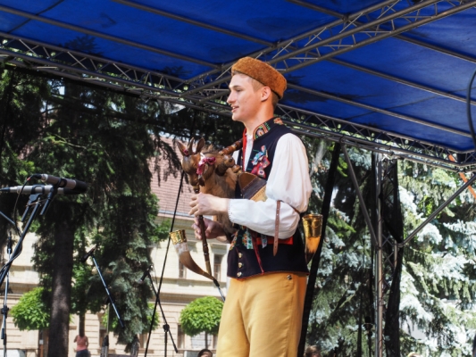 ŽIŽKOVY SADY
