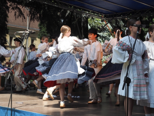 ŽIŽKOVY SADY ŽIŽKOVY SADY