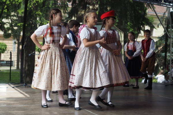 ŽIŽKOVY SADY