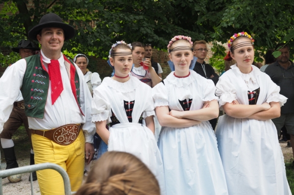 ŽIŽKOVY SADY