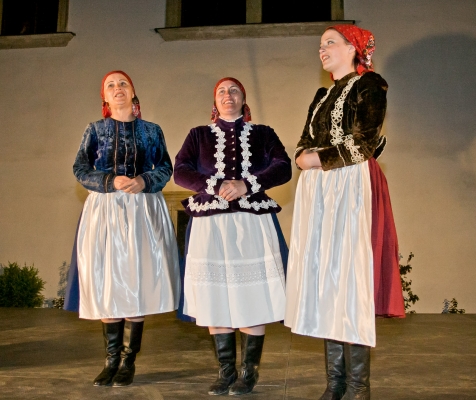 PERNŠTÝNSKÁ NOC - Zámek