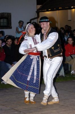 XVI. ROČNÍK